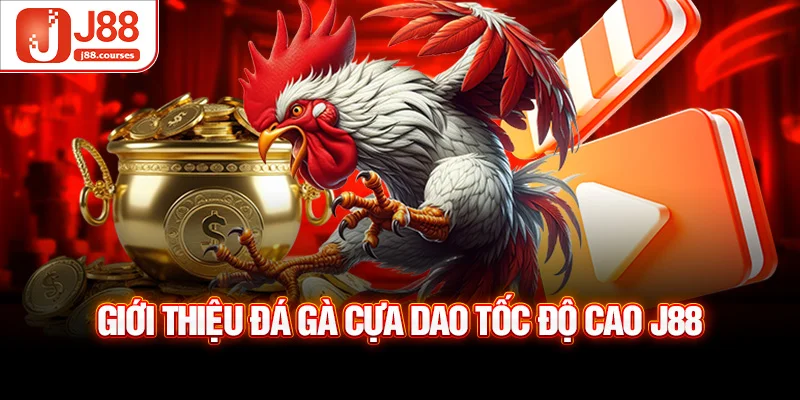 Giới thiệu đá gà cựa dao tốc độ cao J88