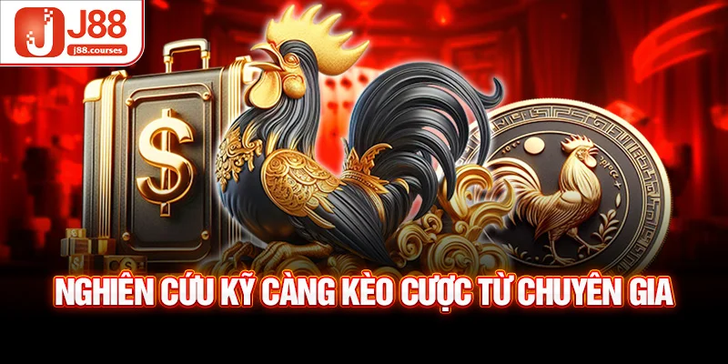 Nghiên cứu kỹ càng kèo cược từ chuyên gia