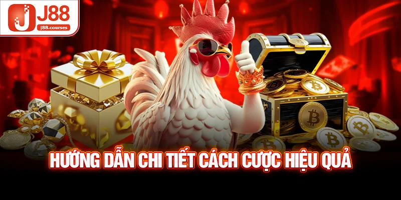 Hướng dẫn chi tiết cách cược hiệu quả
