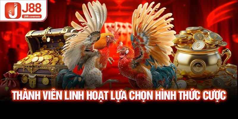 Thành viên linh hoạt lựa chọn hình thức cược