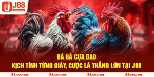 đá gà cựa dao