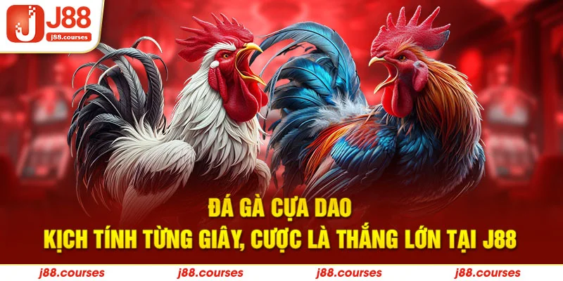 đá gà cựa dao