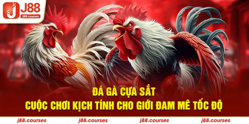 Đá Gà Cựa Sắt