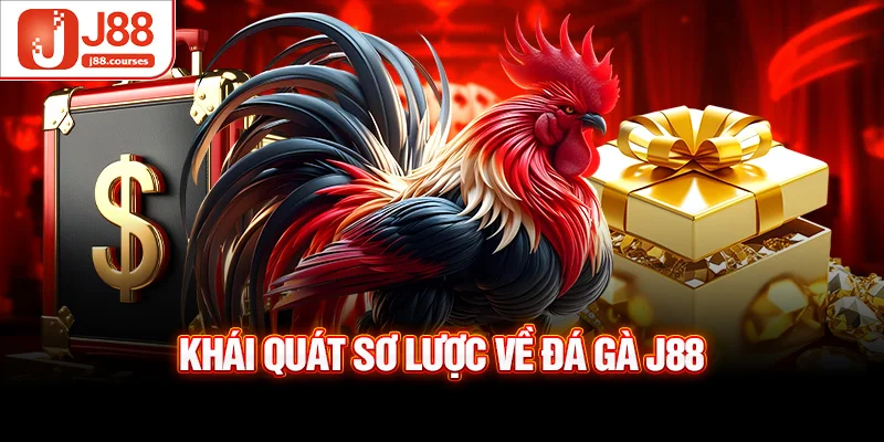 Khái quát sơ lược về đá gà J88